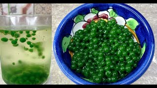 Basil caviar pearls [upl. by Winnah654]