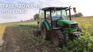 Kilka słów o uprawach podczas talerzowania poplonu Vlog 11 [upl. by Polly]