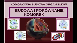 Budowa komórki zwierzęcej roślinnej bakteryjnej grzybowej [upl. by Atselec]