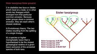 Sister Taxa Sister Group Sister Clade [upl. by Mik232]