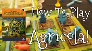 A Dicey quotWalkthrough Reviewquot of Agricola Revised Edition [upl. by Undine]