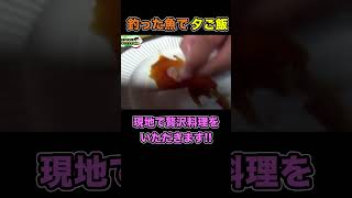 釣れた魚を使ってその場で晩御飯！ shorts 釣りよかでしょう 釣りよか釣り fishing 鯛料理 釣りいろは 野営 [upl. by Aramenta]