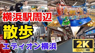 【Japan Walk】横浜駅周辺を散歩！【エディオン横浜】 [upl. by Ervine]