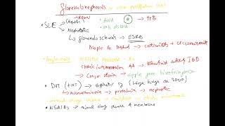 Nephrology 14a nonproliferative GNglomerulonephrosis glomerulosclerosis SLE amyloidosis FSGS [upl. by Soule]