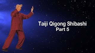 Taiji Qigong Shibashi Section 5  Simon Blow Qigong  Art of Life [upl. by Nary584]