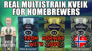 Real Multistrain Kveik From Norway For HomeBrewers [upl. by Xxam]