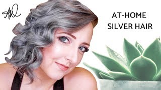 How To Dye Your Hair Silver Grey at Home With Toner [upl. by Heidi]