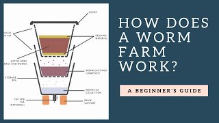 How Does a Worm Farm Work Plus Tips [upl. by Bettye]