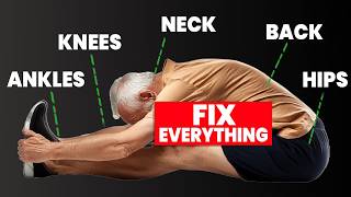 3 Exercises that Fix 90 of Problems for Ages 60 [upl. by Ojibbob]