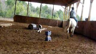 My very first lesson on Rusty  RONO Ranch [upl. by Garold907]