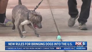 New rules for bringing dogs into US [upl. by Anerys]