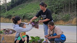 Life in the forest of a 17yearold single mother Harvesting Red Amaranth  take care of the farm [upl. by Sera]