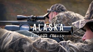 Hunting Grizzly Bear and Barren Ground Caribou in Alaska [upl. by Ramaj]