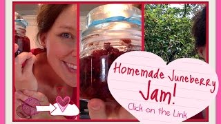 Homemade Juneberry Jam an Odd Lost Tree and a Cool Thing With a Mason Jar [upl. by Ainegul]