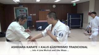 Street Tactics SelfDefence Ashihara Karate Style [upl. by Anilorak]