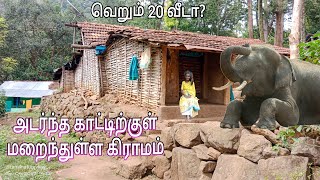 Hidden village  வாகப்பணை இருளர் கிராமம் [upl. by Pasahow]