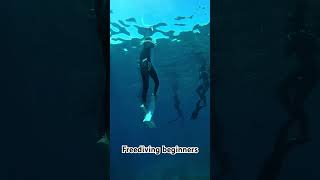 POV Freediving Beginners [upl. by Yoko246]