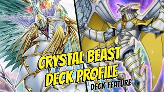 Crystal Beast Deck Profile July 2024  Feature Deck Profile Ft Callum [upl. by Richie]