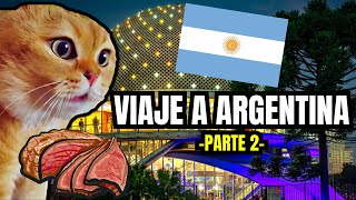 VIAJE A ARGENTINA  parte 2 meme de gatos [upl. by Holly-Anne882]