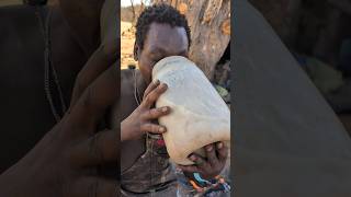 Wow😲 its drinking beer🤤 Hadzabe tribe enjoying the weekendbushmen culture traditional [upl. by Maggee91]