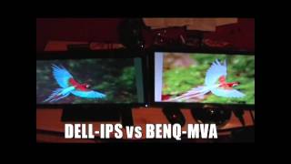 DELL UltraSharp U2311H vs BenQ VW2420H [upl. by Gaul]