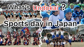 2024 Sports Festival in Japan UNDOKAI 🎉Japan Sports Day is Like [upl. by Sochor15]