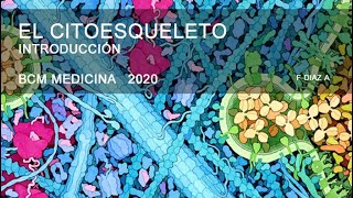 INTRO CITOESQUELETO BCM 2020 [upl. by Trocki831]