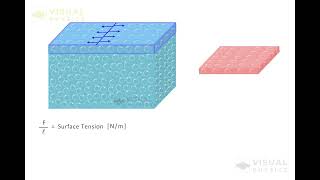 Fluid Mechanics  What is Surface Tension and Energy [upl. by Airekahs]