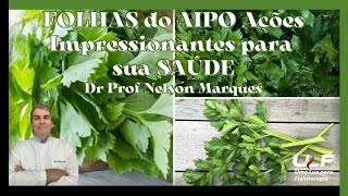 FOLHAS do AIPO Ações Impressionantes para sua SAÚDE Dr Prof Nelson Marques [upl. by Allimac602]