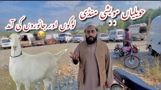 Hazara Squad  Havelian mavashi mandi  Havelian mandi ma logo ka reaction  food vlog trending [upl. by Nnylesor]