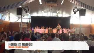 Kinzbach Musikanten  Polka im Galopp  Live 2014 [upl. by Gerome]