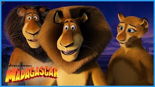 From Madagascar to the Depths of Africa  Extended Preview  DreamWorks Madagascar [upl. by Flavio446]