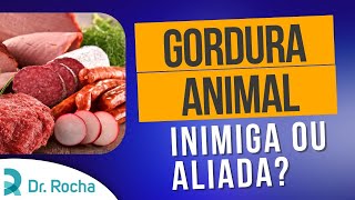 ðŸ¥© GORDURA ANIMAL Inimiga ou aliada para DIABÃ‰TICOS [upl. by Leopoldine]