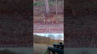 Have you ever harvested a deer using a shotgun [upl. by Notgnilra]