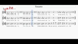 Terzetto  Flauto dolce  Note Spartito  Karaoke  Instrumental  Canto [upl. by Anaiek59]