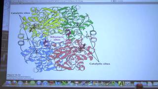 23 Biochemistry Glycolysis III Lecture for Kevin Aherns BB 450550 [upl. by Michella729]