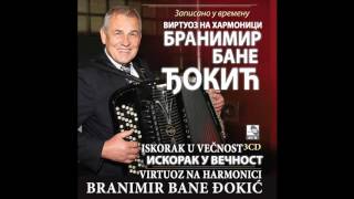 Branimir  Bane Djokic  Paracinka kolo  Audio 2017 HD [upl. by Aniraad]