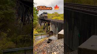 A Trestle Shot In Every Season railroad railfan train [upl. by Arakaj122]