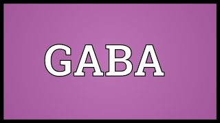 GABA Meaning [upl. by Noraed]