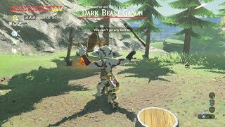 How to InstaKill a Silver Bokoblin  Zelda Breath of the Wild [upl. by Ileek831]