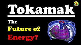 What is a Tokamak Working and Future [upl. by Polivy]