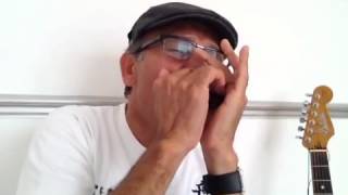 Slievenamon Irish Waltz on Harmonica Coverby shanti gohil [upl. by Agni82]