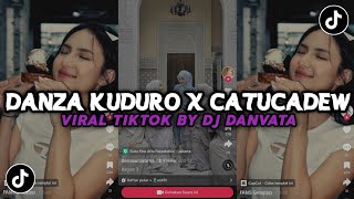 DJ DANZA KUDURO X CATUCADEW SLOW KANE VIRAL TIKTOK BY DJ DANVATA [upl. by Enale]