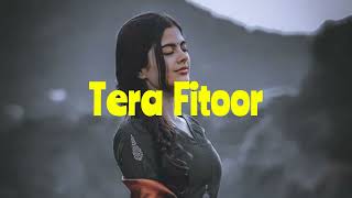 Tera Fitoor  Slowed  Reverb  Arijit Singh  2025 [upl. by Boehike]