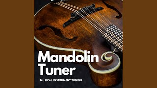 Mandolin Tuner [upl. by Natie]