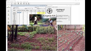 CROPWAT 80 SOFTWARE EXPLAINED [upl. by Einyaj542]