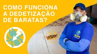 Como funciona a dedetização de baratas [upl. by Weisler778]