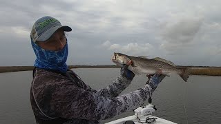 Caught Some Nice Speckled Trout Up to 20”sand Redfish In Mississippi’s Marsh Bayous [upl. by Aehta]