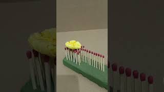 Matchsticks vs luffa flower matchstick [upl. by Anauqahs]