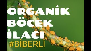 ORGANİK BÖCEK İLACI YAPIMI 4 [upl. by Narayan]